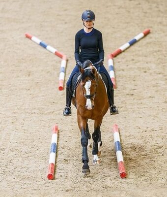 Ruiter rijdt een paard tussen gekleurde cavalettibalken in een bak