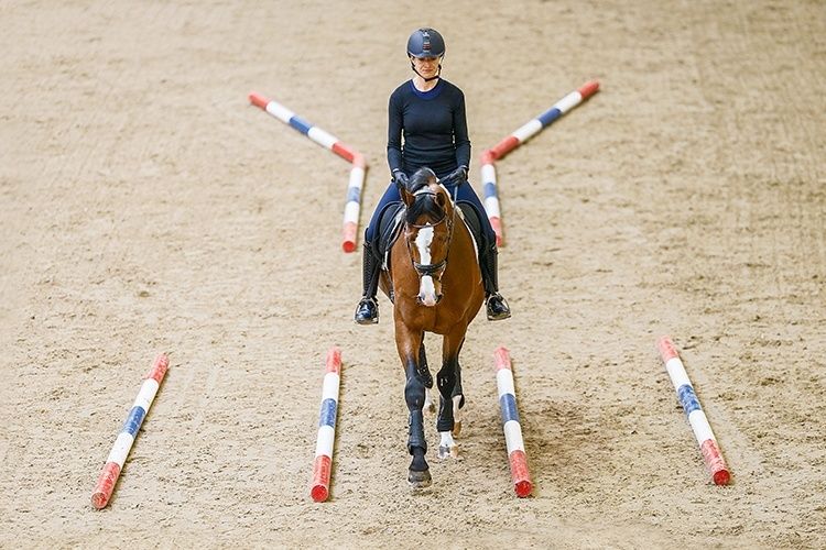 Ruiter rijdt een paard tussen gekleurde cavalettibalken in een bak