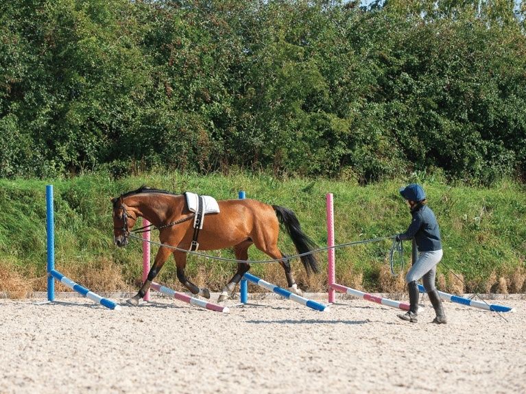 Paard draaft over lage cavalettibalken onder begeleiding van een ruiter